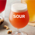 Discovering the World of Sour Beers