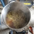 Boiling and Adding Hops: A Guide to Brewing Beer, Wine, and Mead