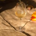 All You Need to Know About Sauvignon Blanc