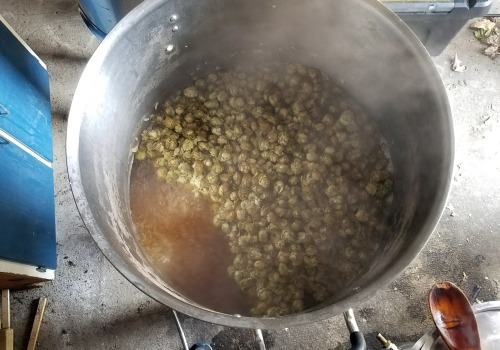 Boiling and Adding Hops: A Guide to Brewing Beer, Wine, and Mead